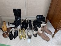 Full view of all shoes and boots in the lot arranged on carpet, showing mix of black boots, gold and silver heels, and pink fur-lined hiking boots.