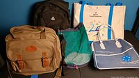 Photo showing five bags: a khaki Cherokee shoulder bag, black Reebok backpack, white Hilton tote, blue and white Hilton tote, green and purple beach bag.
