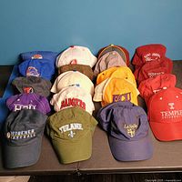 Photo shows 19 baseball caps arranged in four rows, showcasing various college and university logos in multiple colors.