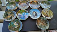 Overview of 10 decorative collector plates with wildlife images placed on a black surface outdoors.