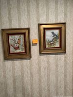 Two framed bird pictures hung on wall showing cardinals and blue jays by M Oliver, gold frames with red matting.