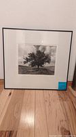 Front view of framed Stephen Hays black and white photograph showing tree with clouds.