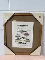 Full view of the framed fishing lithograph, showing oak frame and protective cardboard corners.