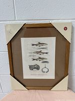 Front view of the vintage framed fishing lithograph showing detailed images of fish and fishing gear with cardboard corners for protection.