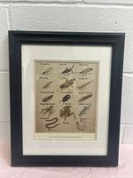 Front view of framed fishing bait illustration showing detailed images of various freshwater fishing baits mounted within a black wooden frame with beige matting.