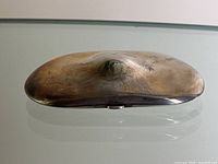 Top view showing domed surface, central dent and name engraving