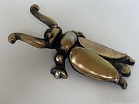 Top-down view showing beetle wings and body