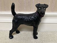 Front left side view showing overall shape, textured surface and purple fabric collar