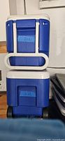 Two stacked blue and white Igloo coolers showing the front and handle design.
