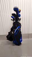 Full view of Cobra stand bag loaded with clubs