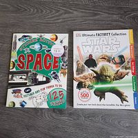 Front covers of both sticker books