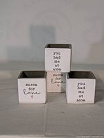 Front view of three planters showing phrases 'you had me at aloe' and 'succa for love'.