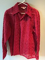Cranberry sheer floral embroidered long sleeve shirt hung on white hanger against a wall