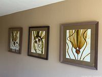 Three framed watercolor paintings of bull kelp on wall, showing overall set and frame styles