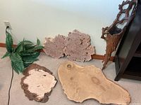 Full lot photo showing large and small wood burl slabs laid on a carpet beside a green fern plant, and the conical shaped wood vase standing upright near a dark piece of furniture.