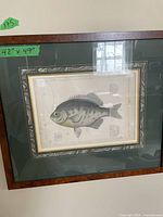 Single framed fish print showing one fish illustration with anatomical vignettes; burl wood frame and dark green mat visible