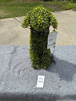 Front view of the artificial dog-shaped topiary with attached tags showing foliage and shape