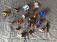 Full group view of all assorted pins laid out