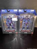 Front view of two sealed Skeletor Revelation action figures