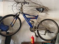 Full view of blue Lespo Attain mountain bike hanging on wall