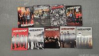 Nine Entourage DVD box sets displayed in two rows on a gray surface. Shows full collection with varying cover art featuring the main cast. Some covers have color schemes involving black, red, and white.