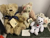 Five teddy bears arranged against a white background showing variety of styles and tags.