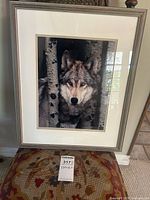 Full view of the framed wolf photo showing wolf among birch trees, propped on patterned fabric chair.