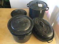 Group view of four graniteware pots and oval roaster on table