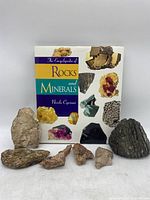 Full lot photo showing seven rock and mineral specimens in front of the book 'The Encyclopedia of Rocks and Minerals' by Nicola Cipriani on a white surface.