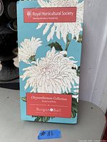 Box packaging showing Chrysanthemum Collection branding by Burgon & Ball and Royal Horticultural Society label.