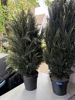 Two potted faux cedar trees placed side by side on a white surface outdoors, showing full trees with dark green foliage and black pots.