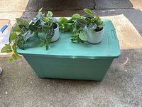Two small artificial green plants with trailing vines placed on a green storage container outdoors.