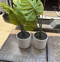 Front view of two faux Monstera plants in white pots showing large green split leaves and the soil appearance.