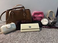 Brown leather Anne Klein handbag and 7 small purses/wallets grouped together on carpet