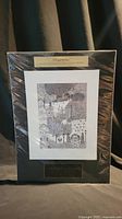 Photo of the complete framed and matted limited edition print sealed in plastic, showing the gold plaque and title plaque at the top.