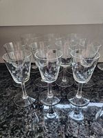 Photo of 10 vintage liqueur glasses showing the majority with star etching and some with cornflower etching arranged on a countertop.