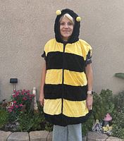 Front view of plush bee costume worn by person, showing yellow and black horizontal striped pattern, zip front and hood with yellow ball antennae.