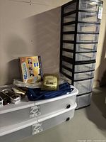 View of two white plastic storage drawers and tall black drawer unit with multiple clear drawers. Additional items on top include shoe polishing brushes and EZ Moves sliders.