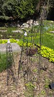 Set of three wire garden obelisks placed in garden soil with surrounding plants and rocks
