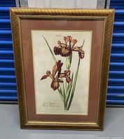 Full view of the framed botanical print showing the flowers, frame, and matting.