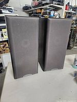Front view of two tall Sony floor-standing speakers with fabric covers.