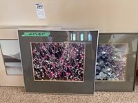 Four framed photos arranged on carpet floor showing one frame with pink blossoms and gray matting, another with purple-toned leaves and one landscape photo partially visible.