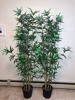 Photo of two artificial bamboo trees about 6 feet tall in black plastic pots against a white wall indoors.