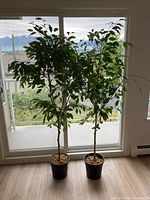 Photo of two artificial trees about 6.5 feet tall, each in a black plastic pot placed on a wood floor in front of a large window showing an outdoor view.