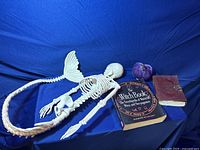 Photo showing the white plastic skeleton with a mermaid tail, the purple velvet pumpkin, and two witch-related books on a blue cloth background.