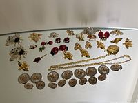 Multiple insect-themed brooches, buttons and necklace laid out on glass surface
