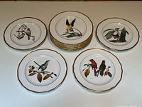 First image showing the full group of plates arranged around a central stack.