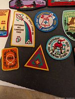 Close up of 10 scout badges laid out showing various designs and years from 1975 to 1996.