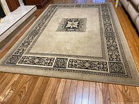Rectangular beige area rug with black patterned border and central medallion, displayed on hardwood floor.