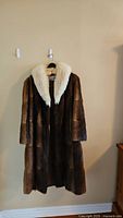 Full frontal photo of the vintage dark brown mink fur coat with contrasting light fur collar hanging against a wall.